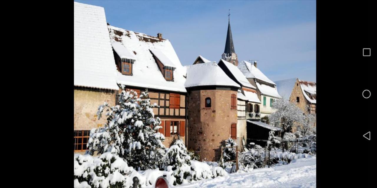 Cocon De Caractere Au Coeur Des Vignes Alsaciennes Apartment Bergheim Exterior photo